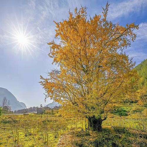 自然美景