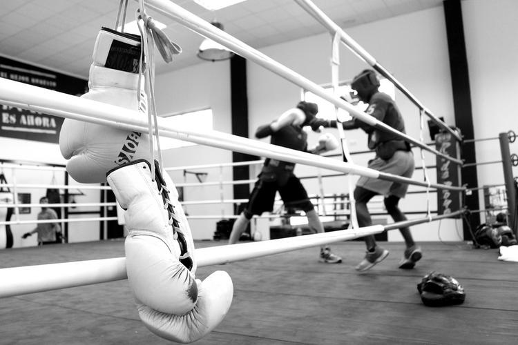 boxing 拳击; boxer 拳击运动员 - 堆糖,美图壁纸兴趣