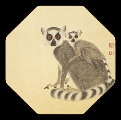 《环尾狐猴·2》   28x28cm   绢本设色