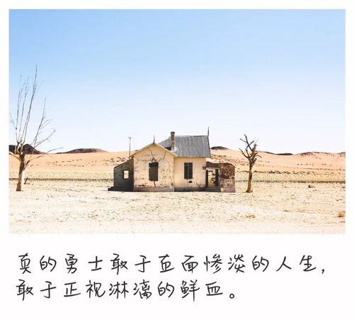 真的勇士敢于直面惨淡的人生