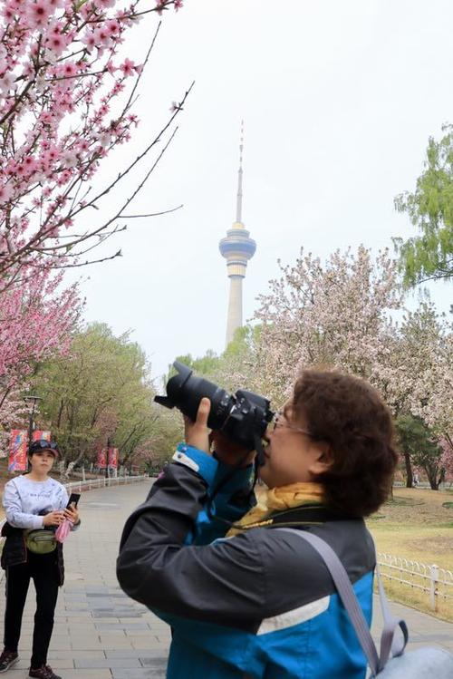 刘燕红在采风活动现场