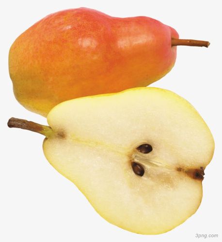 梨png素材透明免抠图片其他元素