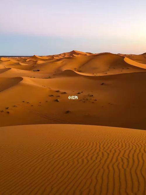 撒哈拉沙漠大片_撒哈拉沙漠_沙漠_出行_传统景点攻略