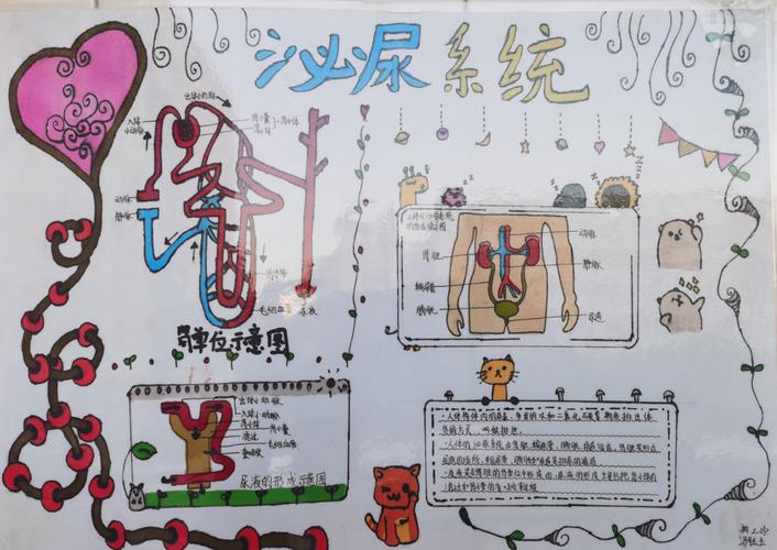 "奇妙的身体"手抄报&思维导图创作大赛 (初二生物教研