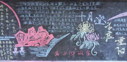 菊花的知识手抄报