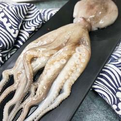 鲜惠淘 t新鲜章鱼生鲜八爪鱼深海刺身海捕爆头章 500g