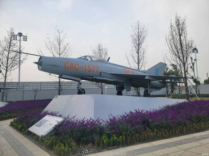 小能手观成飞公园航空强国