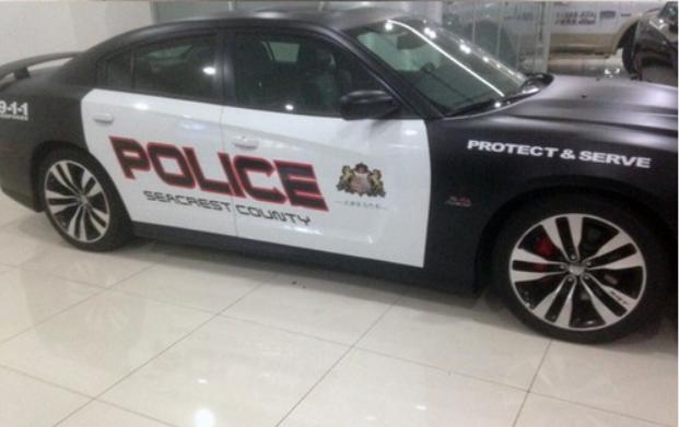 没红蓝警灯的那种不贴任何关于公安的 就美国警车黑白涂漆警车标志!