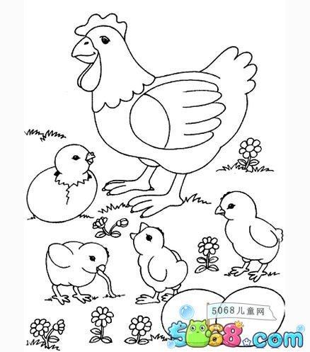 呼叫孵小鸡的地方简笔画