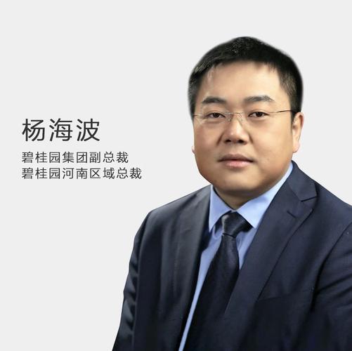 碧桂园集团副总裁河南区域总裁杨海波用做制造业和服务业的心态来做房