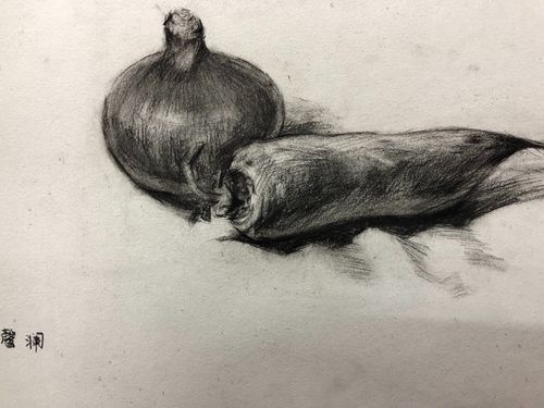 洋葱和萝卜