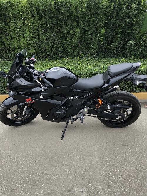 铃木gsx250  i 骑行小心得9315_骑车_护发_玩具_铃木gsx250_汽车