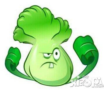 植物大战僵尸里头的大白菜的简笔画