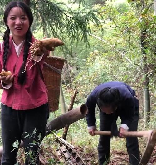 农村姐妹冬季山里挖"它"一天上百斤,每斤3元,日赚几百