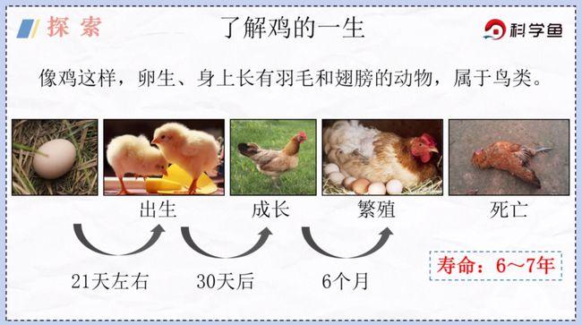 幼体到成体的差别很大,变态发育是指动物在生长发育过程中,那什么是