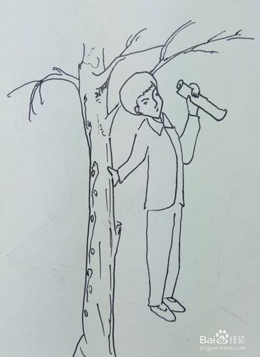 扶树的简笔画