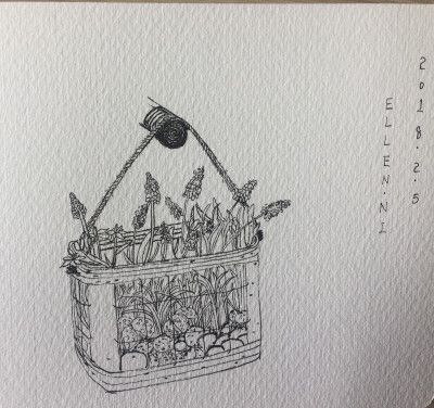 线稿