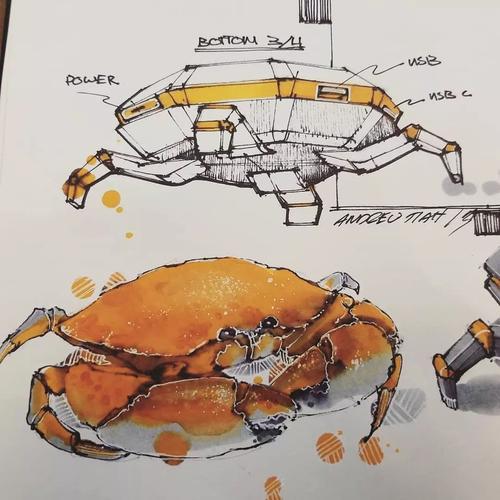 「远川绘-手绘素材第244天」仿生设计临摹素材