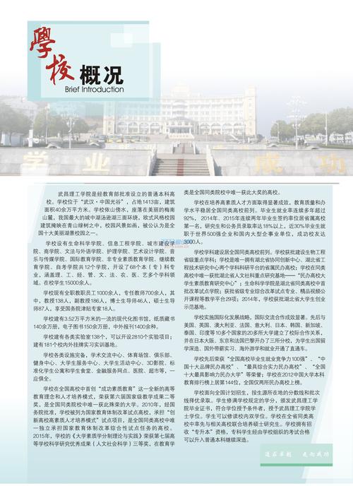 2017武昌理工学院艺术类音乐与传媒类招生简章