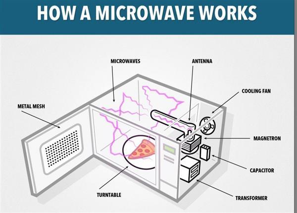 千万别把它放进微波炉 真是可怕!