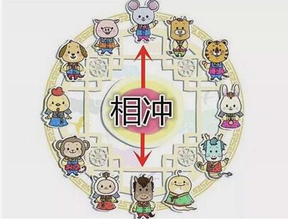 生肖鼠的介绍 十二生肖的每一个动物都代表着一种特质.