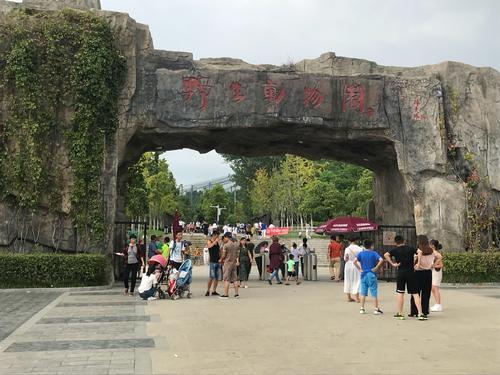 阜阳野生动物园5月1日试开园,门票98元,是合肥野生动物园近3倍