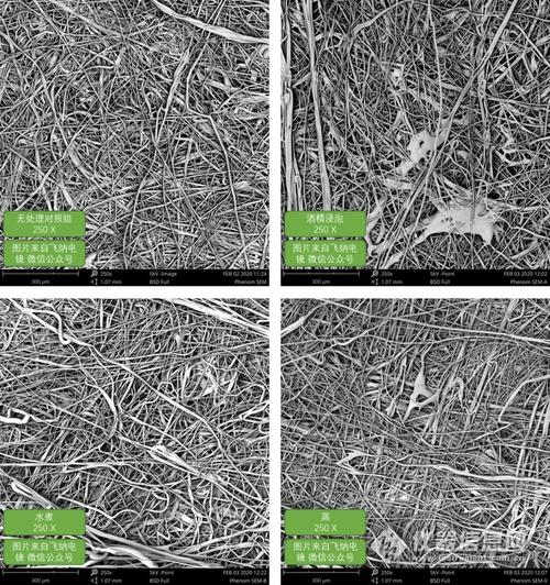 一次性口罩能否消毒后重复使用?——扫描电镜的实验结果公布