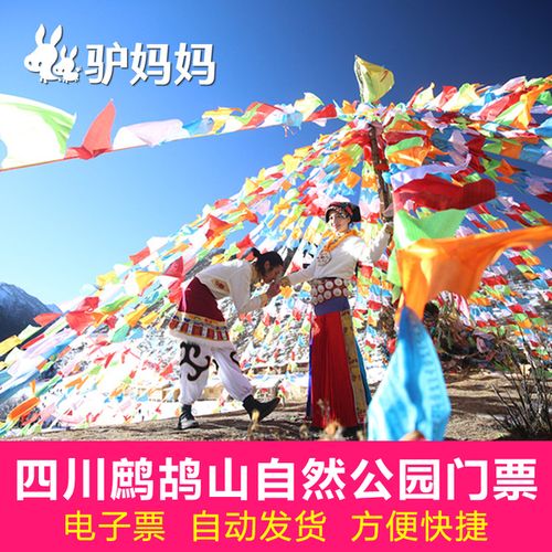 驴妈妈旅游专卖店鹧鸪山门票 景区大门票 四川鹧鸪山自然公园滑雪场