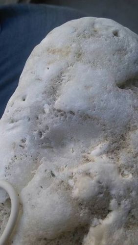 有块白色半透明的石头,有窝周边呈放射状,好像会生长