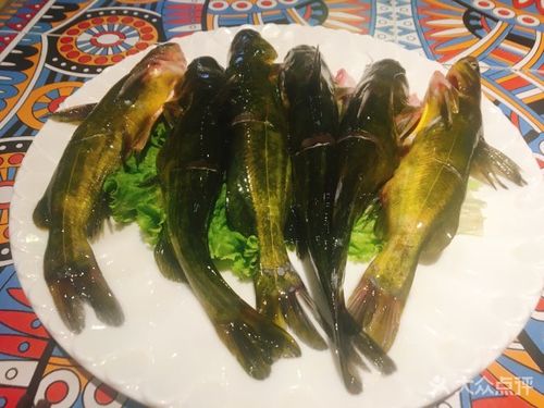 黄辣丁