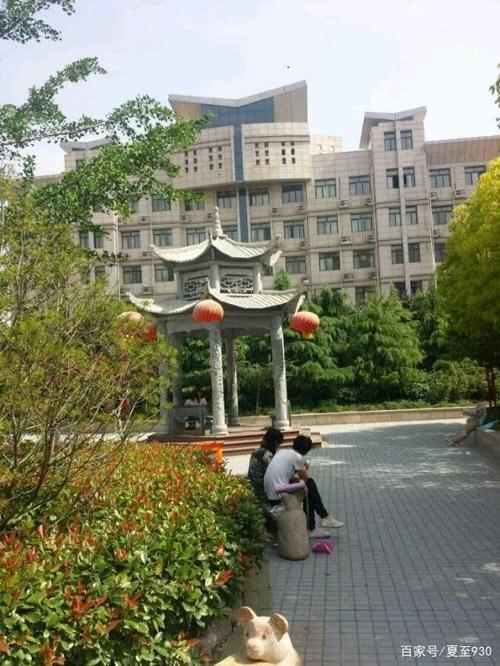 我的母校—虞城县春来高中