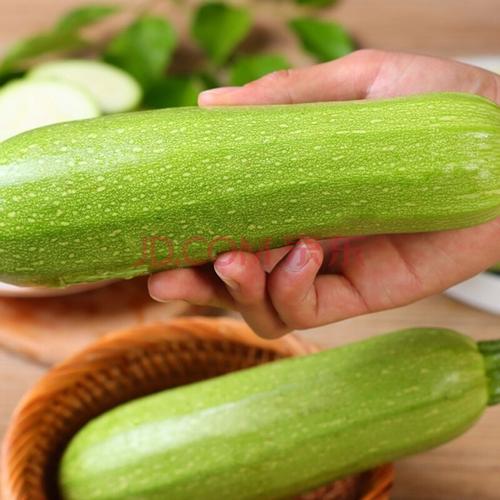 云南西葫芦新鲜蔬菜小瓜现发时令家用炒菜脆嫩爽口批发三月瓜 3斤