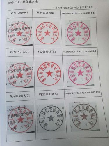 地产老板举报高管私刻公章造8千多万债务,高管反诉老板套路贷