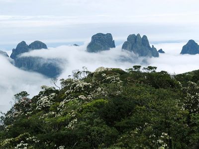 【圣堂山】是大瑶山主峰,位于广西来宾的金秀县.