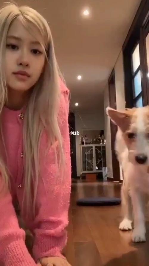 朴彩英新男友_男朋友_朴彩英_rosé_娱乐_明星娱乐资讯