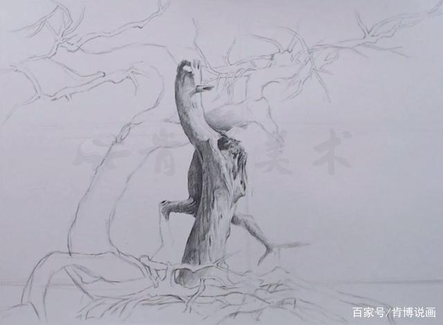 素描风景教程:画好这样一颗"妙龄树"不难,画面纵深感很重要!