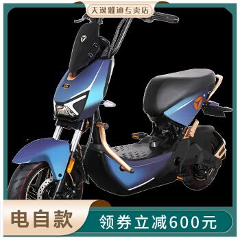 雅迪yadea新国标极光40冠智版48v石墨烯助力车男女通用电动自行车极光