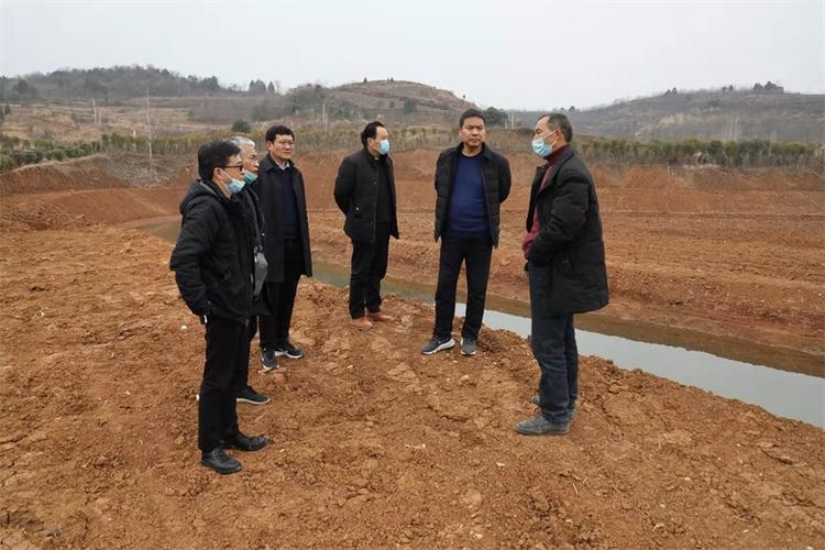 县领导衡尚武到滔河乡检查指导高填方防护工程建设