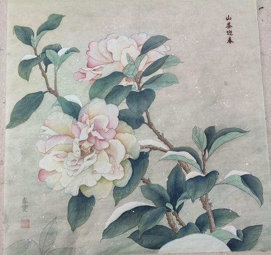 工笔画山茶花 2019.11.11