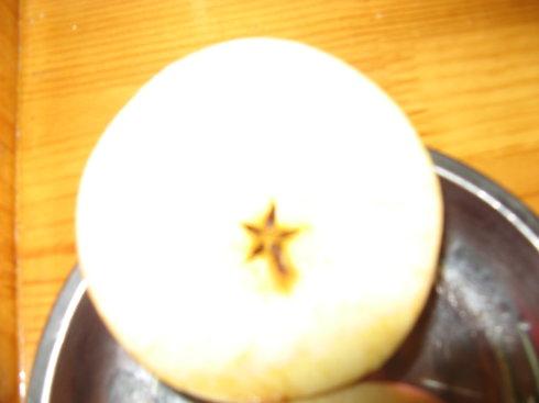 比较认识苹果和梨