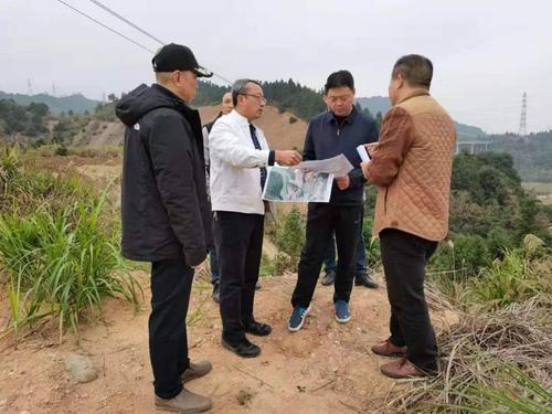 区政府主要领导到大横镇调研,为全域发展出谋划策_叶文平