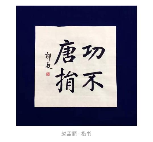 放放书法示范《功不唐捐》(十种风格字体)