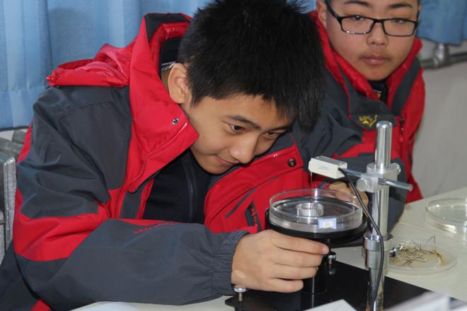 开放性科学实践活动开展的如火如荼