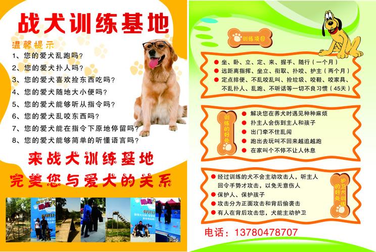 战犬训练基地彩页养狗平面广告素材免费下载(图片编号