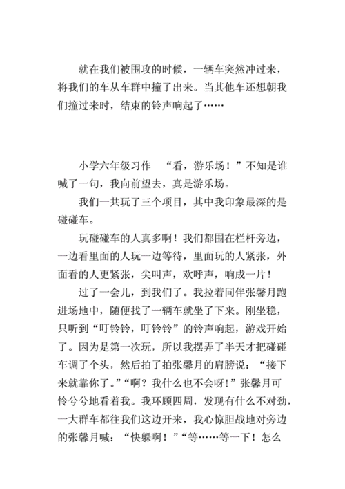 写在游乐场玩耍的作文 玩碰碰车.docx