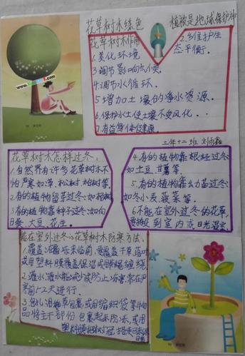 观察绿萝的手抄报 爱的手抄报