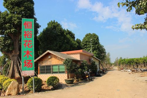 中山市民众恒裕花木场