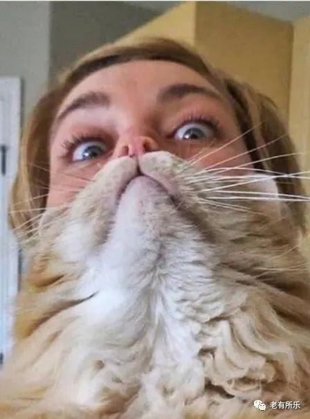 让人眼花缭乱的照片!感觉眼睛被欺骗了!真令人目瞪口呆!