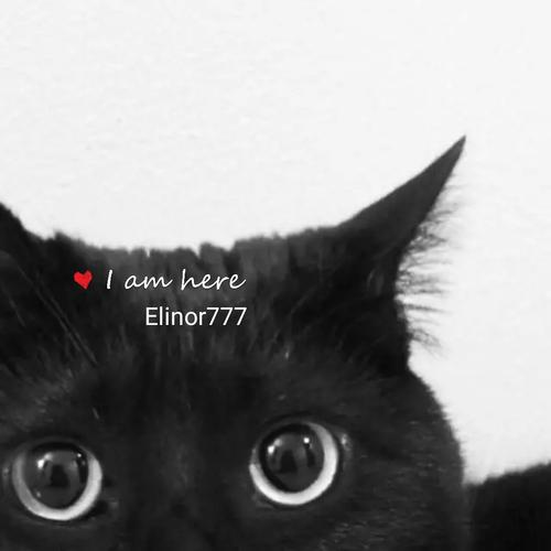 小煤球～黑漆漆的可爱头像