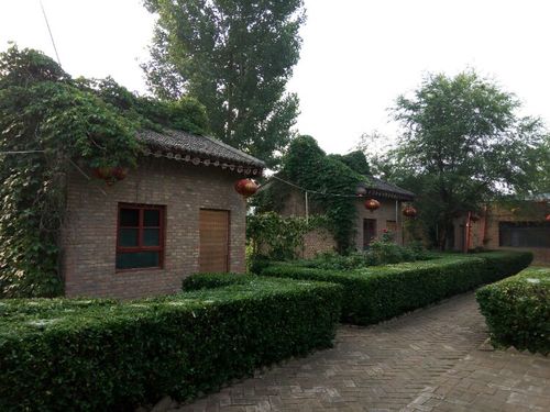 河津人最接地气的农家乐,您去过吗?